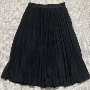 Pleated Skirt